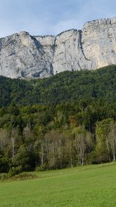 Preview wallpaper mountain, rock, trees, lawn, slope
