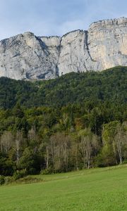 Preview wallpaper mountain, rock, trees, lawn, slope