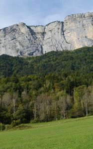 Preview wallpaper mountain, rock, trees, lawn, slope