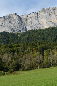 Preview wallpaper mountain, rock, trees, lawn, slope