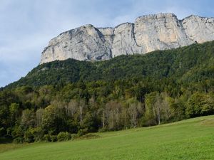 Preview wallpaper mountain, rock, trees, lawn, slope