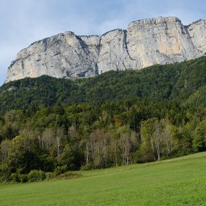 Preview wallpaper mountain, rock, trees, lawn, slope