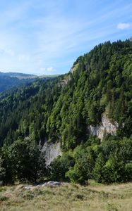 Preview wallpaper mountain, rock, trees, grass, landscape, green