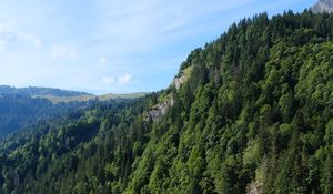 Preview wallpaper mountain, rock, trees, grass, landscape, green