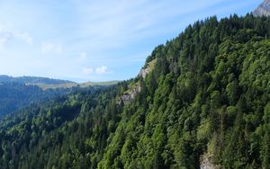 Preview wallpaper mountain, rock, trees, grass, landscape, green