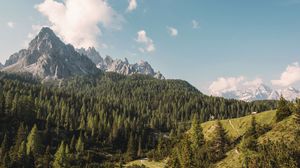 Preview wallpaper mountain, rock, trees, forest, landscape