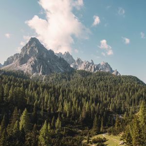 Preview wallpaper mountain, rock, trees, forest, landscape