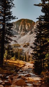 Preview wallpaper mountain, rocks, spruce, trees, stones