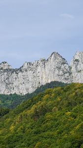 Preview wallpaper mountain, rocks, trees, landscape
