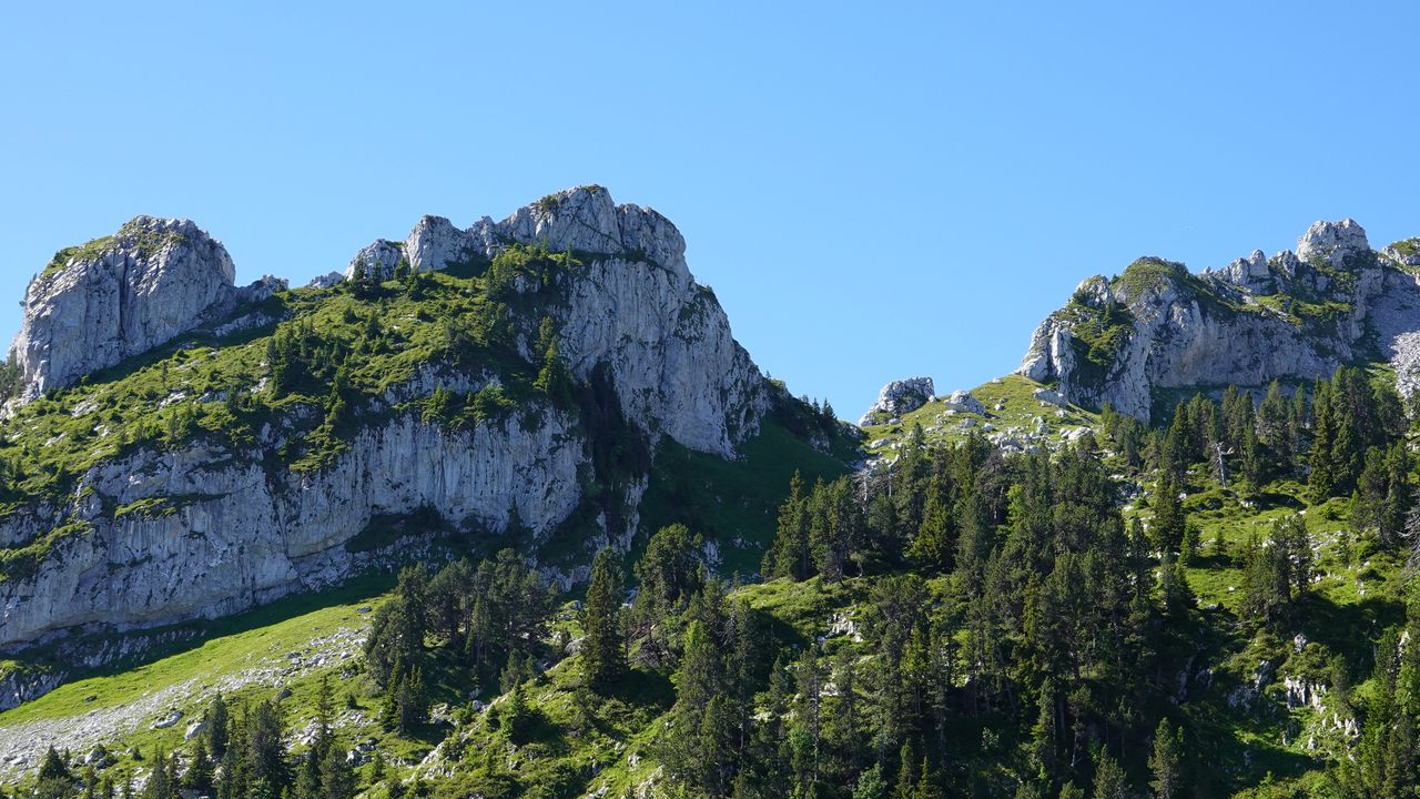 Wallpaper mountain, rocks, trees, nature