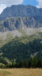 Preview wallpaper mountain, rocks, trees, slope, grass, nature