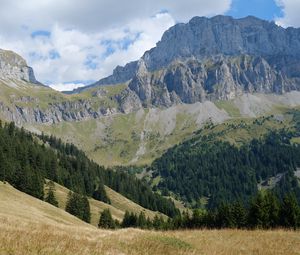 Preview wallpaper mountain, rocks, trees, slope, grass, nature