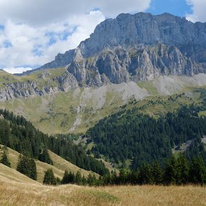 Preview wallpaper mountain, rocks, trees, slope, grass, nature