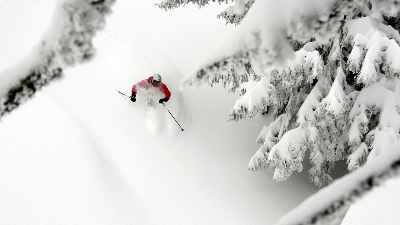 Wallpaper mountain skiing, descent, snow, extreme, trees, fur-trees