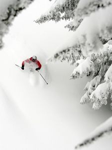 Preview wallpaper mountain skiing, descent, snow, extreme, trees, fur-trees