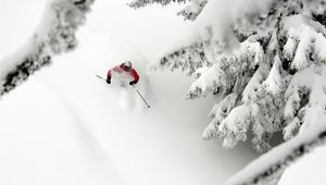 Preview wallpaper mountain skiing, descent, snow, extreme, trees, fur-trees