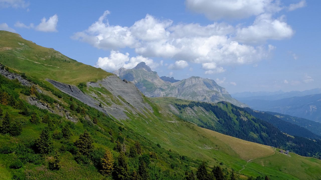 Wallpaper mountain, slope, bushes, trees, landscape, green