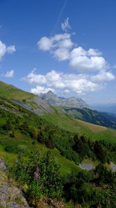 Preview wallpaper mountain, slope, bushes, trees, landscape, green