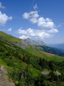 Preview wallpaper mountain, slope, bushes, trees, landscape, green
