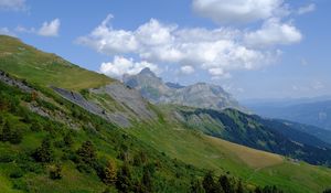 Preview wallpaper mountain, slope, bushes, trees, landscape, green