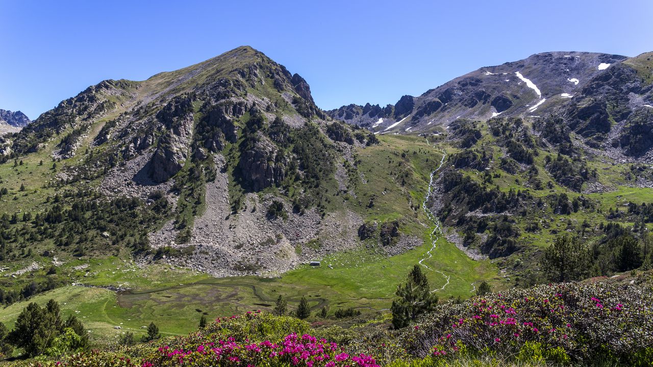 Wallpaper mountain, slope, flowers, valley