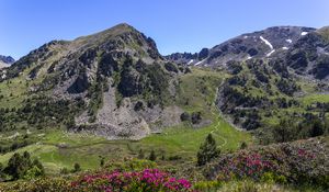 Preview wallpaper mountain, slope, flowers, valley