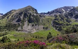 Preview wallpaper mountain, slope, flowers, valley