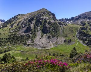 Preview wallpaper mountain, slope, flowers, valley