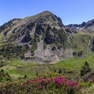 Preview wallpaper mountain, slope, flowers, valley