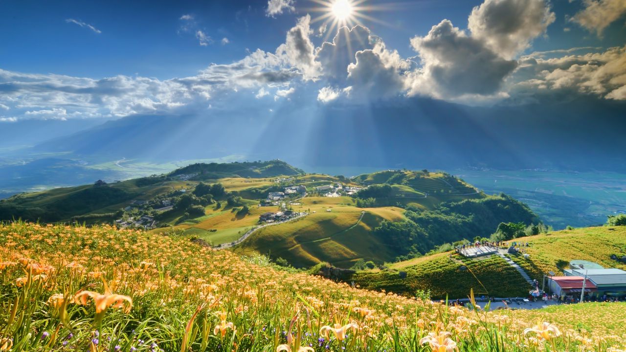 Wallpaper mountain, slope, flowers, lilies, sun, clouds, rays