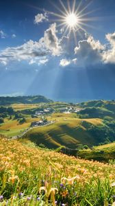 Preview wallpaper mountain, slope, flowers, lilies, sun, clouds, rays