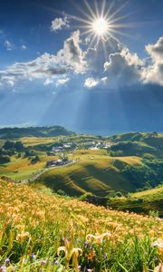 Preview wallpaper mountain, slope, flowers, lilies, sun, clouds, rays