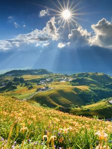 Preview wallpaper mountain, slope, flowers, lilies, sun, clouds, rays