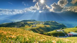 Preview wallpaper mountain, slope, flowers, lilies, sun, clouds, rays