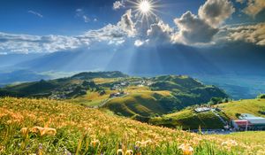 Preview wallpaper mountain, slope, flowers, lilies, sun, clouds, rays