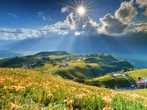Preview wallpaper mountain, slope, flowers, lilies, sun, clouds, rays