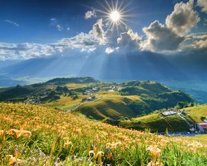 Preview wallpaper mountain, slope, flowers, lilies, sun, clouds, rays