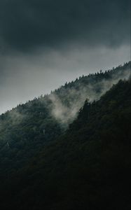 Preview wallpaper mountain, slope, forest, clouds, fog, mist