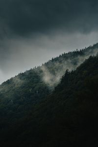 Preview wallpaper mountain, slope, forest, clouds, fog, mist