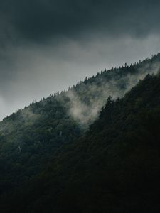 Preview wallpaper mountain, slope, forest, clouds, fog, mist