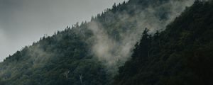 Preview wallpaper mountain, slope, forest, clouds, fog, mist