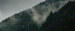 Preview wallpaper mountain, slope, forest, clouds, fog, mist