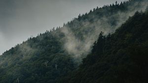 Preview wallpaper mountain, slope, forest, clouds, fog, mist