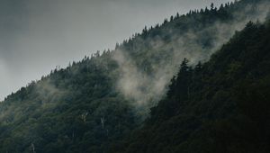 Preview wallpaper mountain, slope, forest, clouds, fog, mist