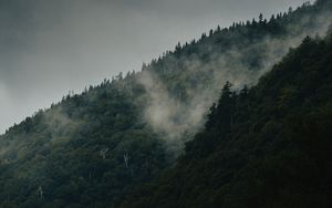 Preview wallpaper mountain, slope, forest, clouds, fog, mist