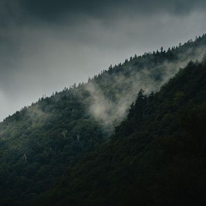 Preview wallpaper mountain, slope, forest, clouds, fog, mist