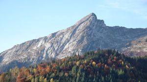 Preview wallpaper mountain, slope, forest, nature