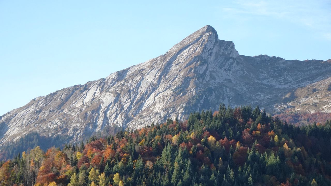 Wallpaper mountain, slope, forest, trees, nature