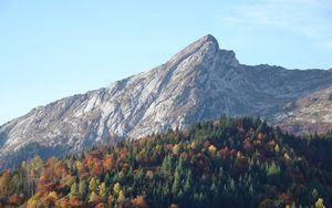 Preview wallpaper mountain, slope, forest, trees, nature