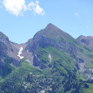 Preview wallpaper mountain, slope, forest, trees, landscape